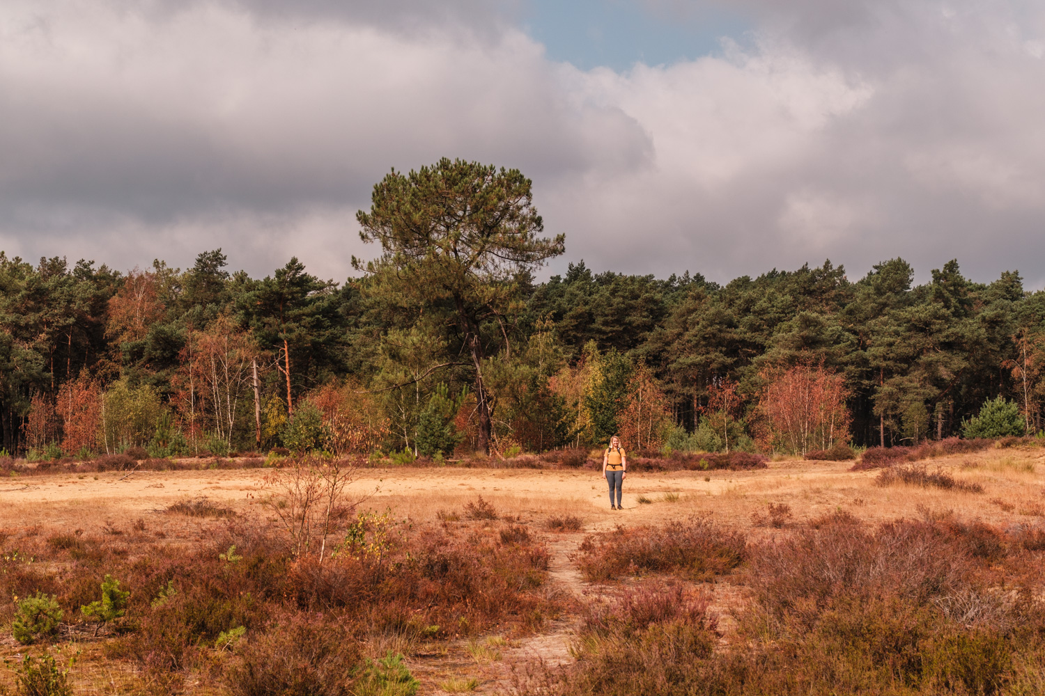 flandern-20260817113024-DSCF0255-janine-wenzel.jpg