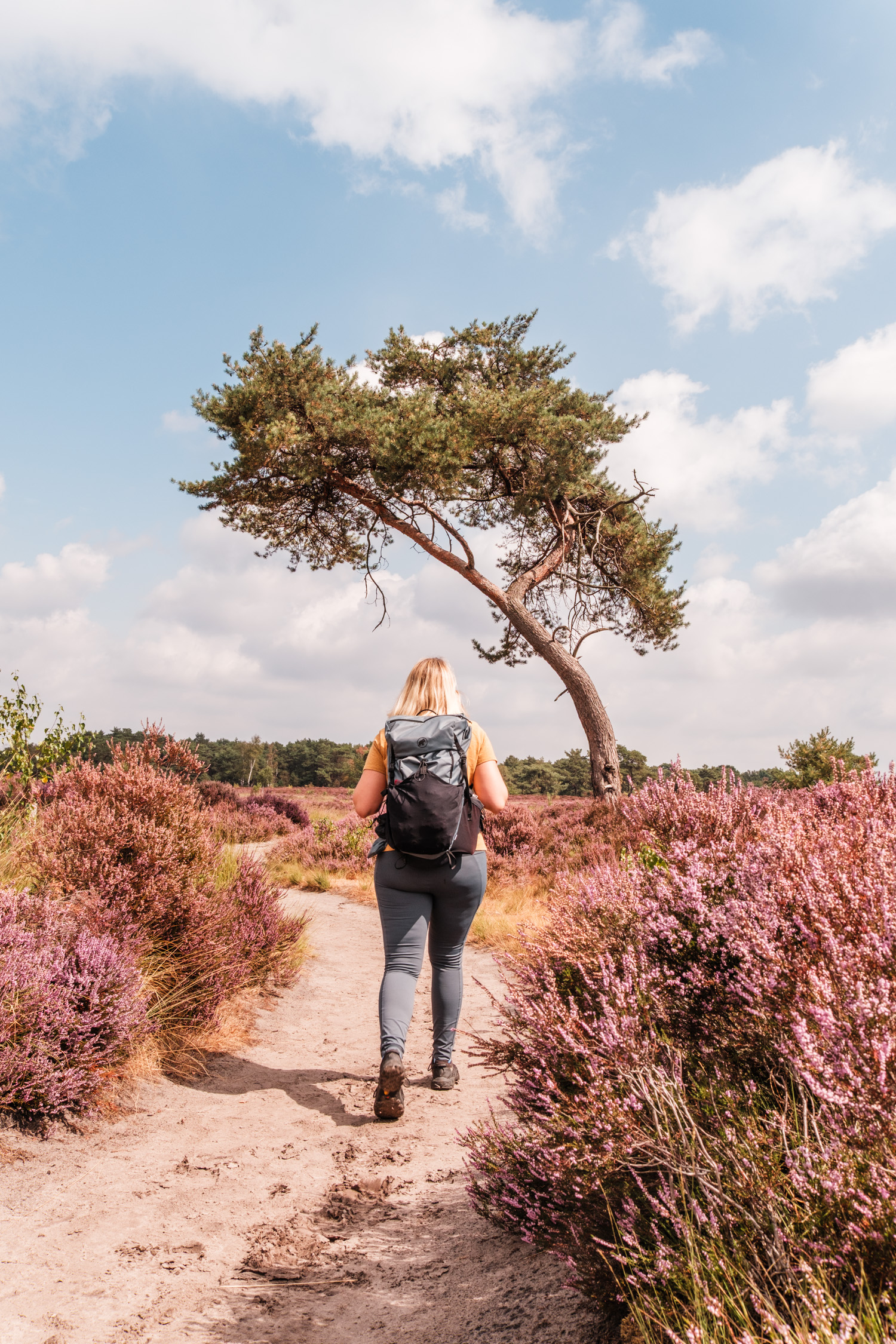 flandern-20260817124201-DSCF0426-janine-wenzel.jpg