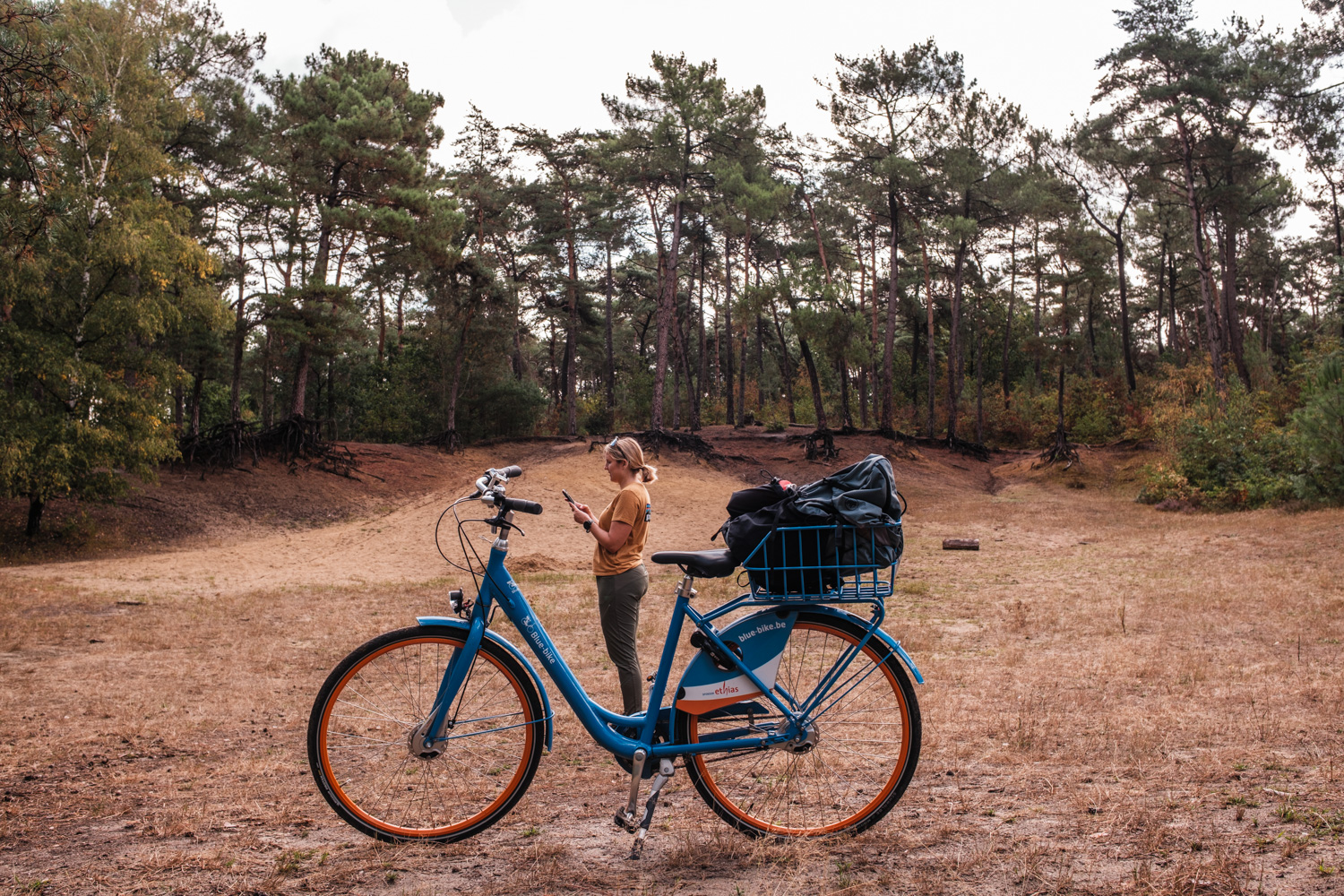 flandern-20260820102858-DSCF0693-janine-wenzel.jpg