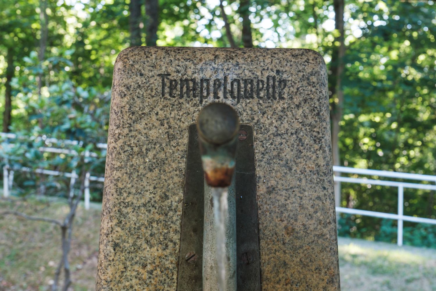 frankenwald-20260729083130-DSCF0110-janine-wenzel.jpg