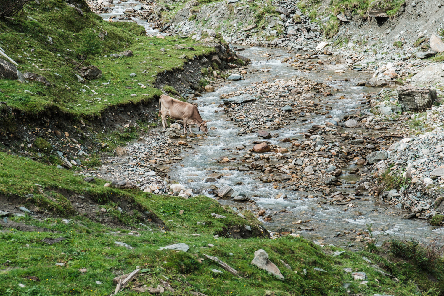 raurisertal-20260827101407-DSCF0528-janine-wenzel.jpg
